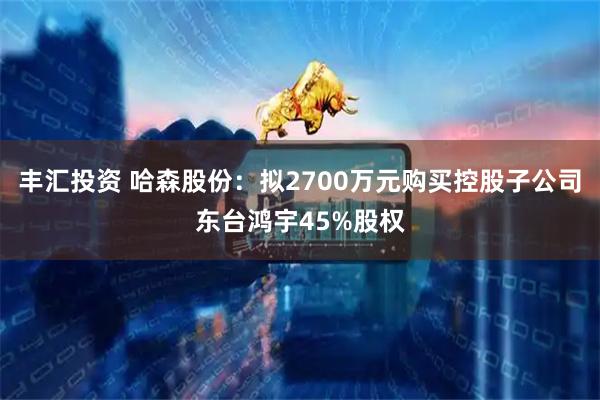 丰汇投资 哈森股份：拟2700万元购买控股子公司东台鸿宇45%股权