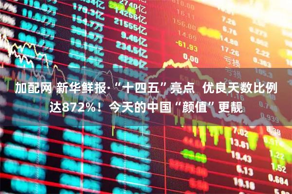 加配网 新华鲜报·“十四五”亮点  优良天数比例达872%！今天的中国“颜值”更靓
