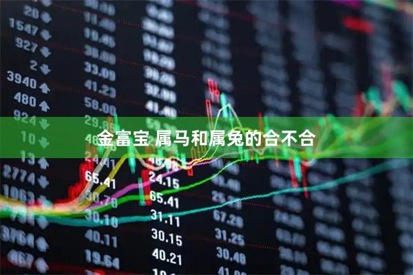 金富宝 属马和属兔的合不合