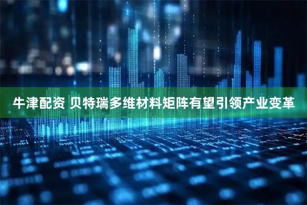 牛津配资 贝特瑞多维材料矩阵有望引领产业变革
