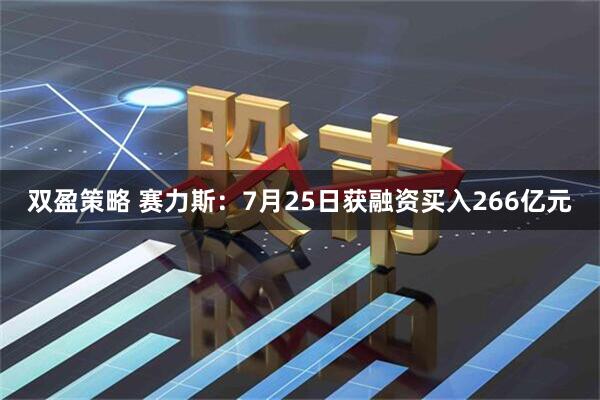 双盈策略 赛力斯：7月25日获融资买入266亿元