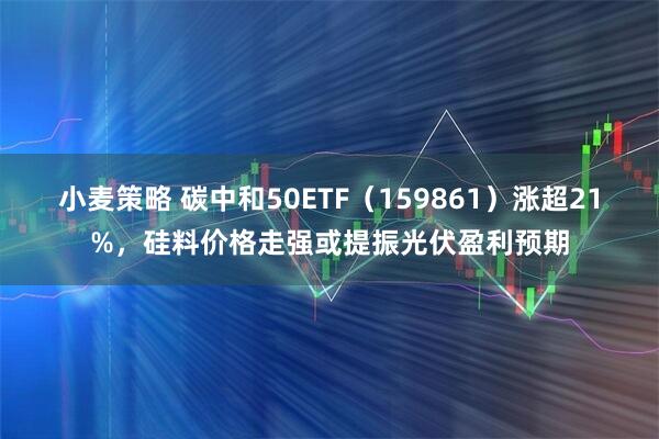 小麦策略 碳中和50ETF（159861）涨超21%，硅料价格走强或提振光伏盈利预期