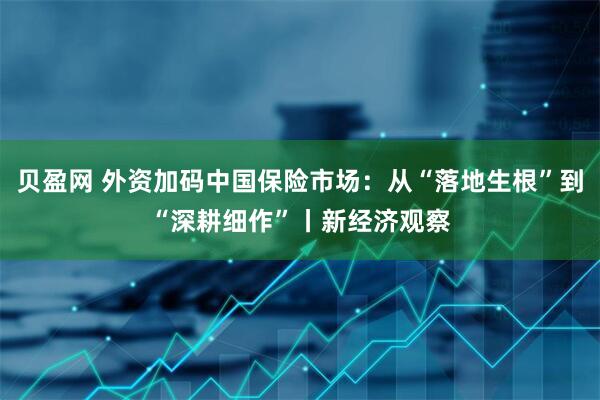 贝盈网 外资加码中国保险市场：从“落地生根”到“深耕细作”丨新经济观察