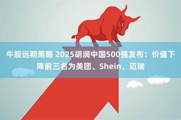 牛股远期策略 2025胡润中国500强发布：价值下降前三名为美团、Shein、迈瑞